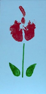 tulipbutt